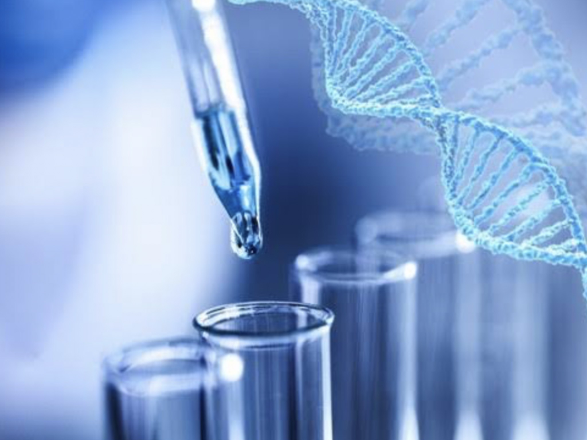 協力、寄り添う